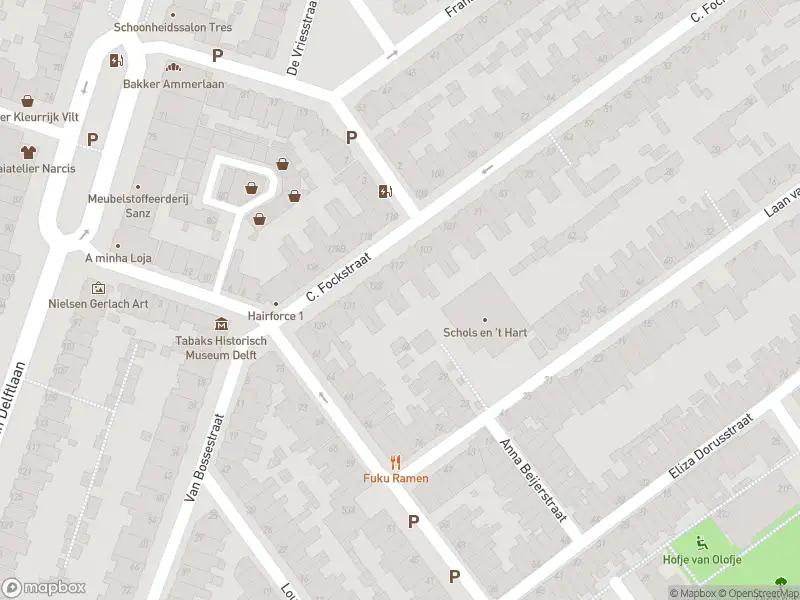 Politie met grote spoed naar de C. Fockstraat in Delft vanwege voertuigen te water