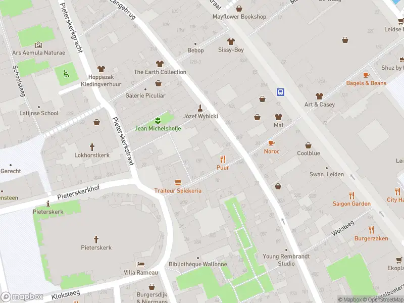 Ambulance met gepaste spoed naar de Breestraat in Leiden