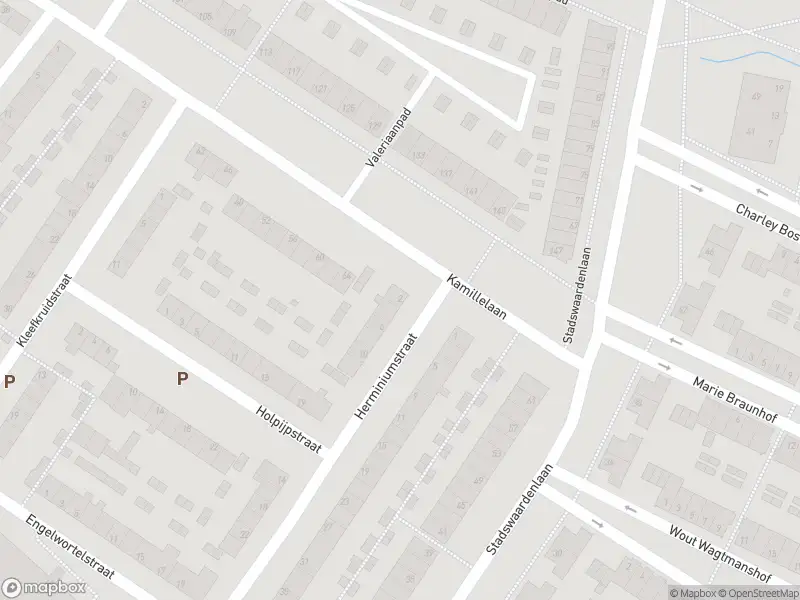 Overlastmelding Herminiumstraat in Arnhem gesloten