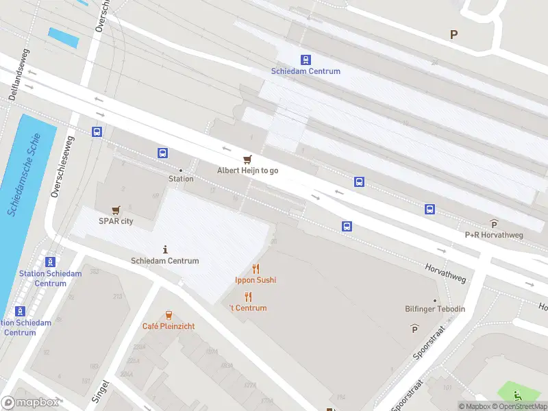 Politie naar de Stationsplein in Schiedam vanwege dier(en) in nood