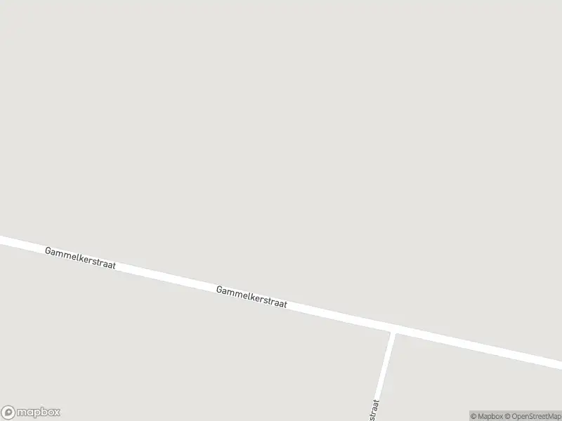 Politie naar de Gammelkerstraat in Deurningen vanwege aanrijding met letsel