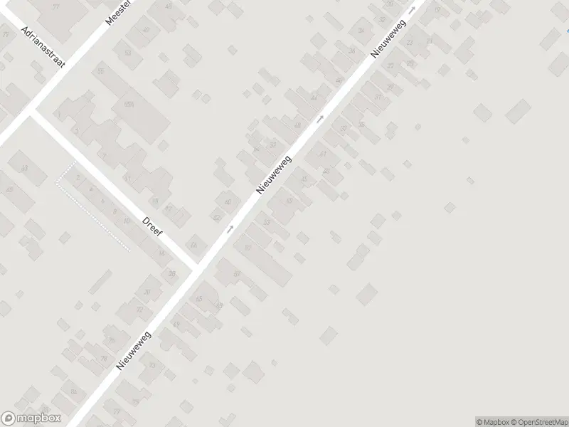 Overlastmelding Nieuweweg in Stellendam