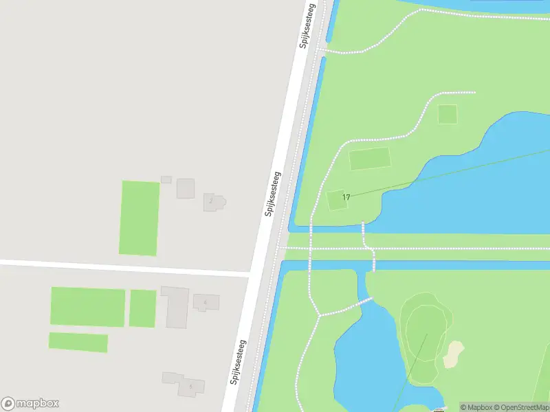 Ambulance met grote spoed naar de Spijksesteeg in Spijk