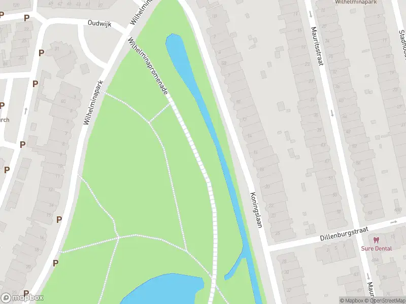 Brandweer met grote spoed naar de Wilhelminapark in Utrecht vanwege afgaan automatisch brandalarm