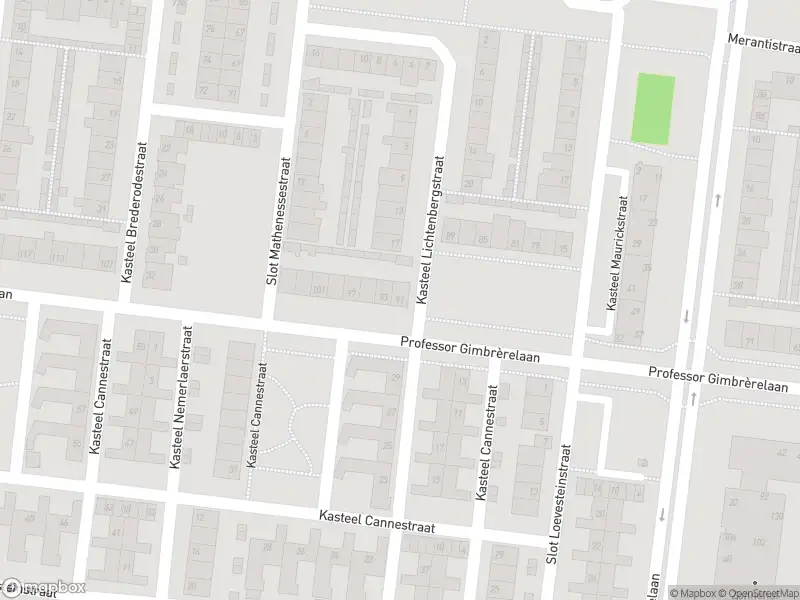 112 melding Overlastmelding Professor Gimbrèrelaan in Tilburg