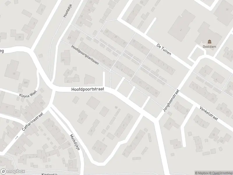 Ambulance met gepaste spoed naar de Hoofdpoortstraat in Goedereede