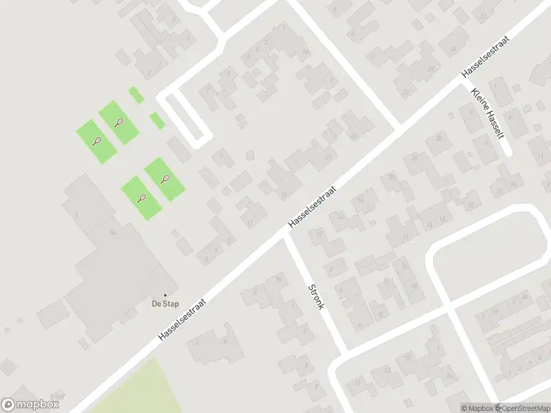 Brandweer met gepaste spoed naar de Hasselsestraat in Luyksgestel