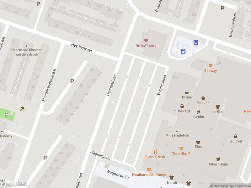 Overlastmelding Wagnerplein in Tilburg