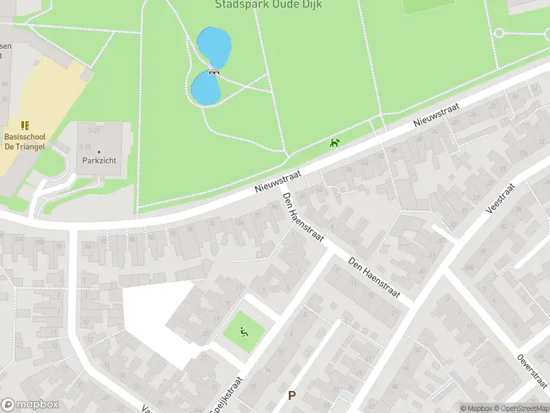 Overlastmelding Nieuwstraat in Tilburg gesloten