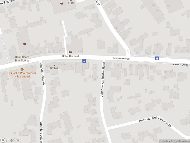 Overlastmelding Johanna van Brabantlaan in Hilvarenbeek