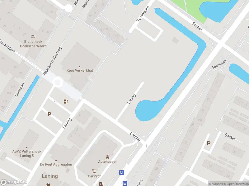 Brandweer met gepaste spoed naar de Laning in Puttershoek