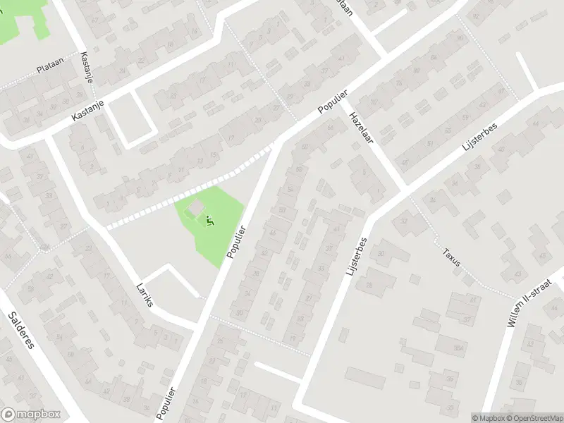 112 melding Overlastmelding Populier in Best