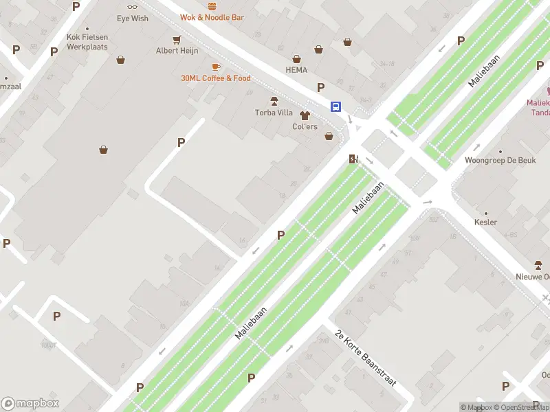 Brandweer met gepaste spoed naar de Maliebaan in Utrecht