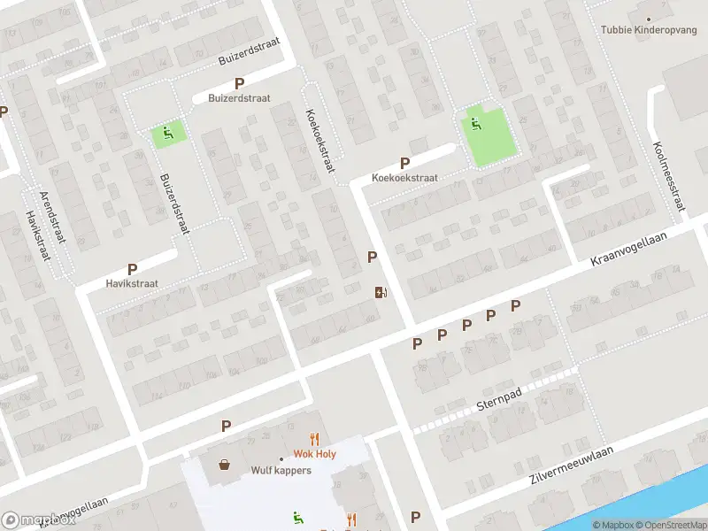 Ambulance met gepaste spoed naar de Koekoekstraat in Vlaardingen