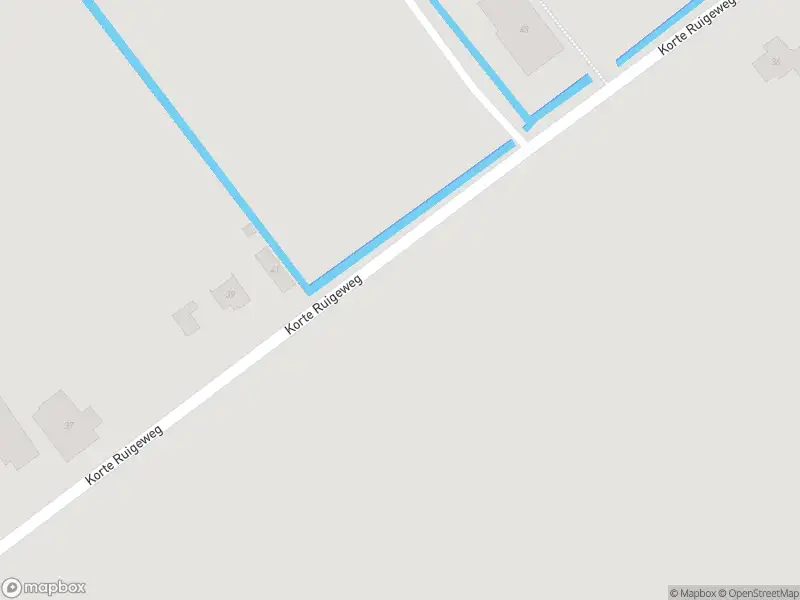 Overlastmelding Korte Ruigeweg in Oudesluis
