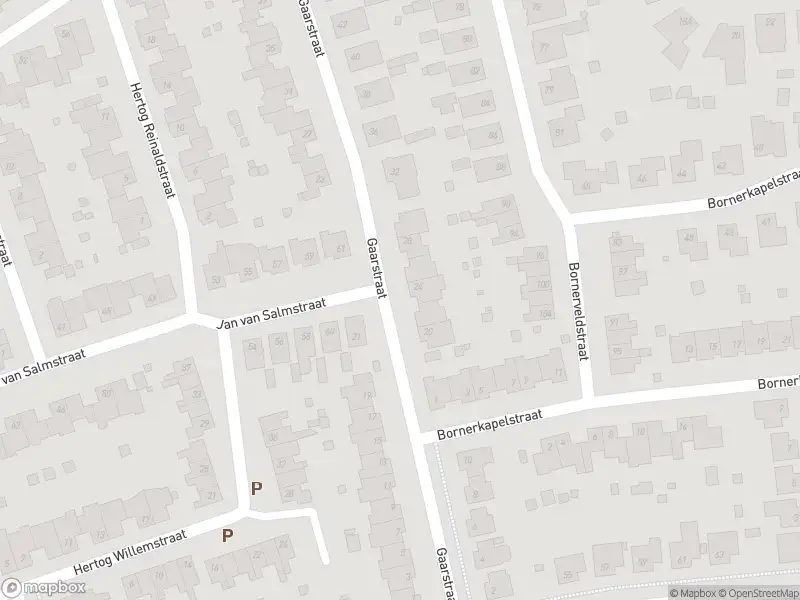 Brandweer en politie met gepaste spoed naar de Gaarstraat in Born