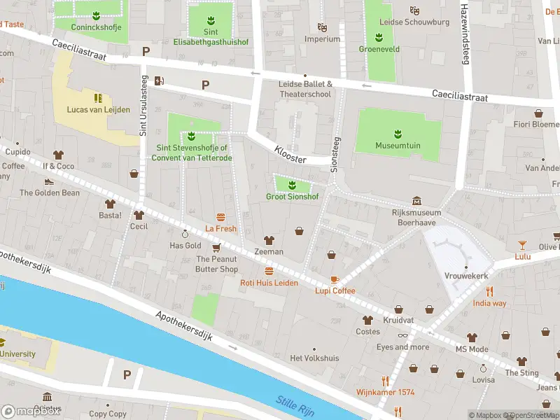 Overlastmelding Lange Lijsbethsteeg in 2312WZ Leiden