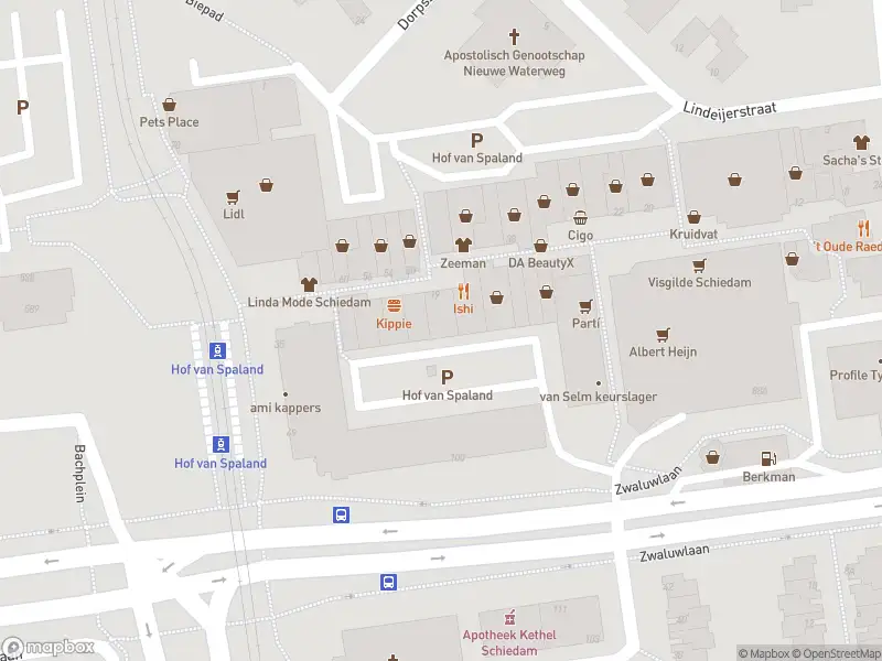 112 melding Ambulance met gepaste spoed naar de Hof van Spaland in Schiedam