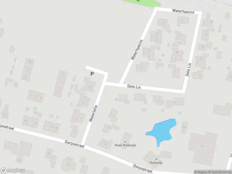 112 melding Overlastmelding Waterlelie in Angerlo gesloten