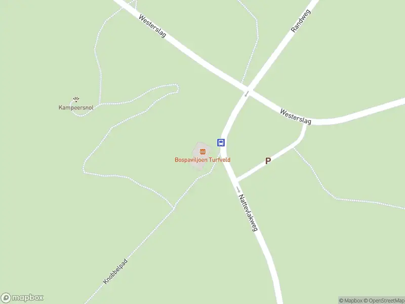 Ambulance met gepaste spoed naar de Nattevlakweg in Den Burg