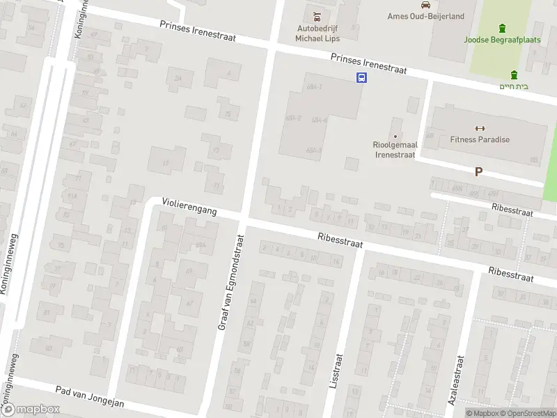 Ambulance met gepaste spoed naar de Ribesstraat in Oud-Beijerland