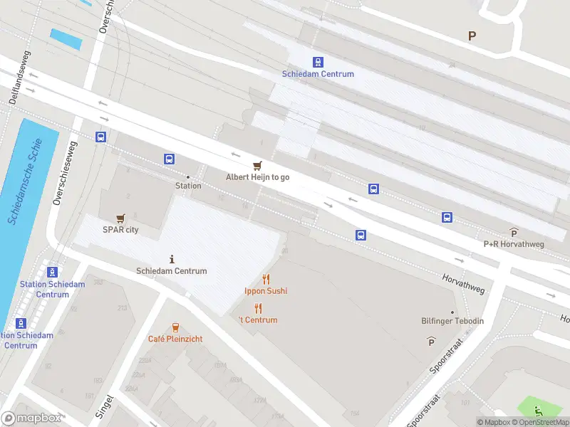 Politie naar de Stationsplein in Schiedam vanwege dier(en) in nood