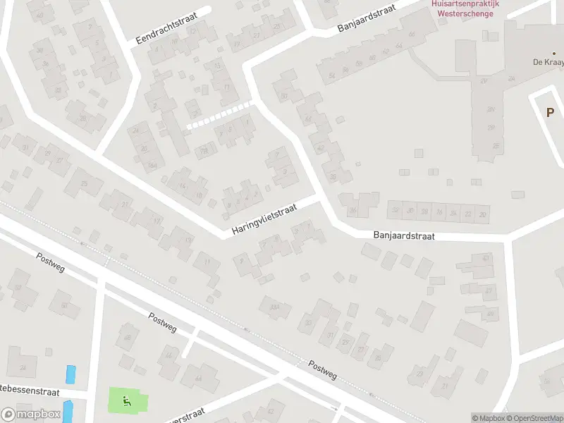 Brandweer met gepaste spoed naar de Haringvlietstraat in Lewedorp