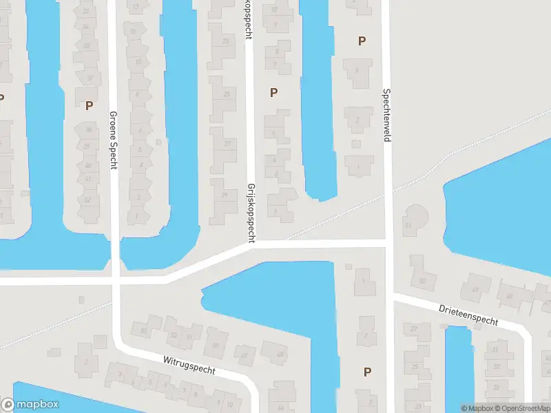 Politie met grote spoed naar de Grijskopspecht in Emmen vanwege personen te water