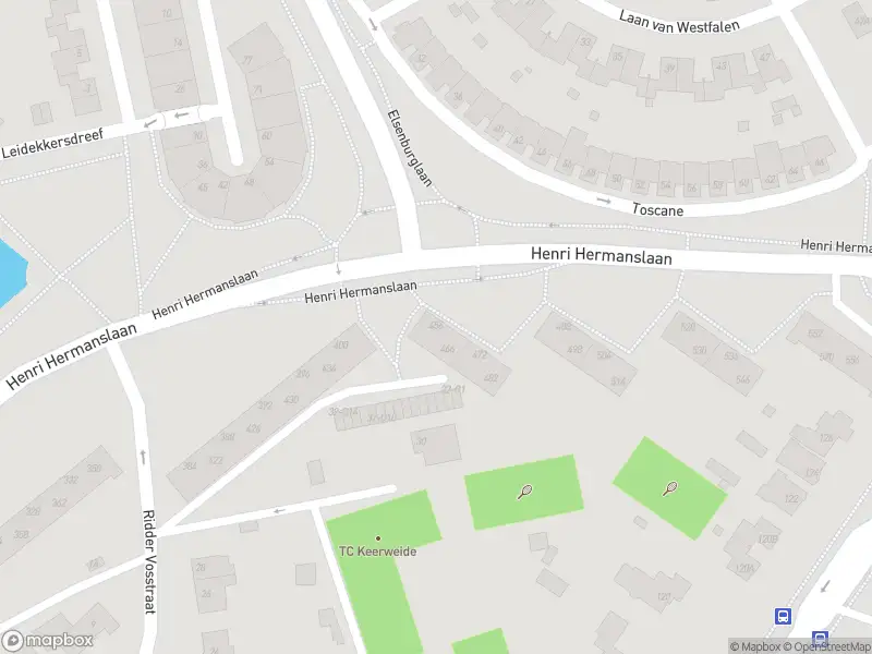 Overlastmelding Henri Hermanslaan in Geleen