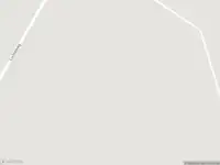 Brandweer met gepaste spoed naar de Coevorderstraatweg in Geesbrug