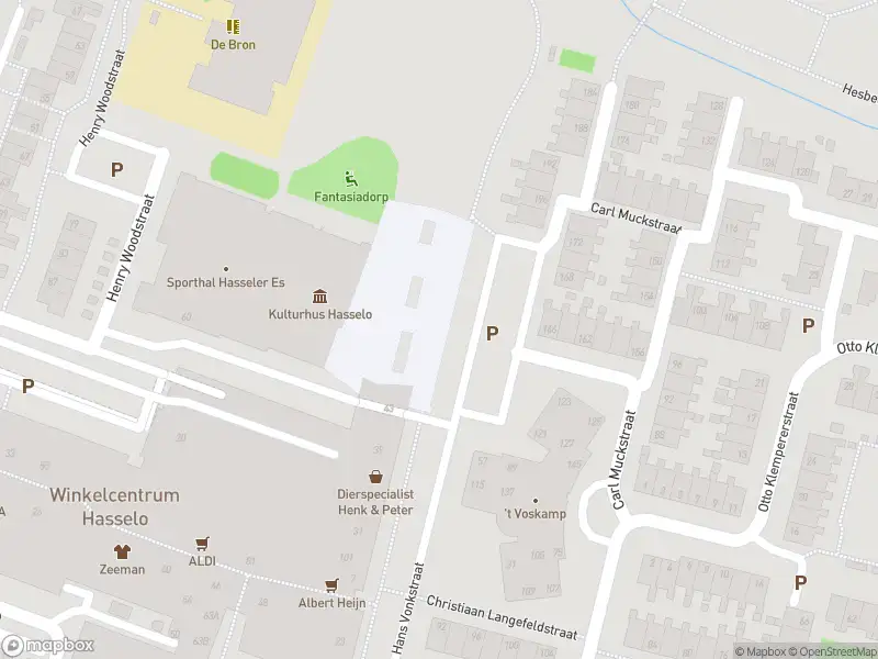Brandweer met gepaste spoed naar de Robert Stolzstraat in Hengelo vanwege stormschade