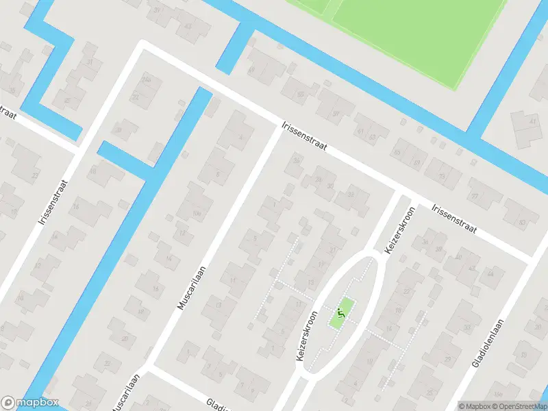 Overlastmelding Muscarilaan in Breezand gesloten