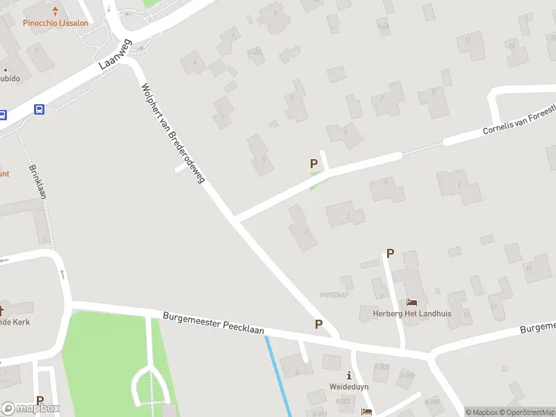 Overlastmelding Wolphert van Brederodeweg in Schoorl