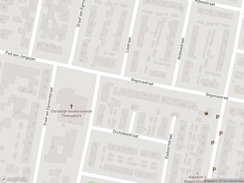 Overlastmelding Begoniastraat in Oud-Beijerland