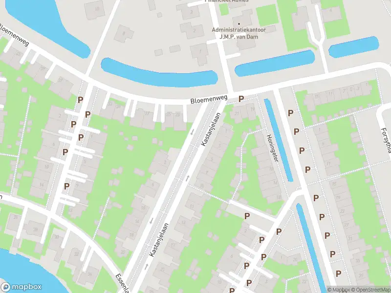 112 melding Overlastmelding Kastanjelaan in Dirksland