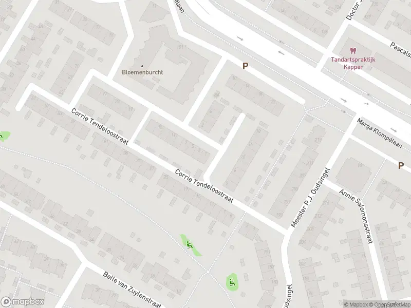 Anonieme overlastmelding Annie Mankes-Zernikestraat in Arnhem