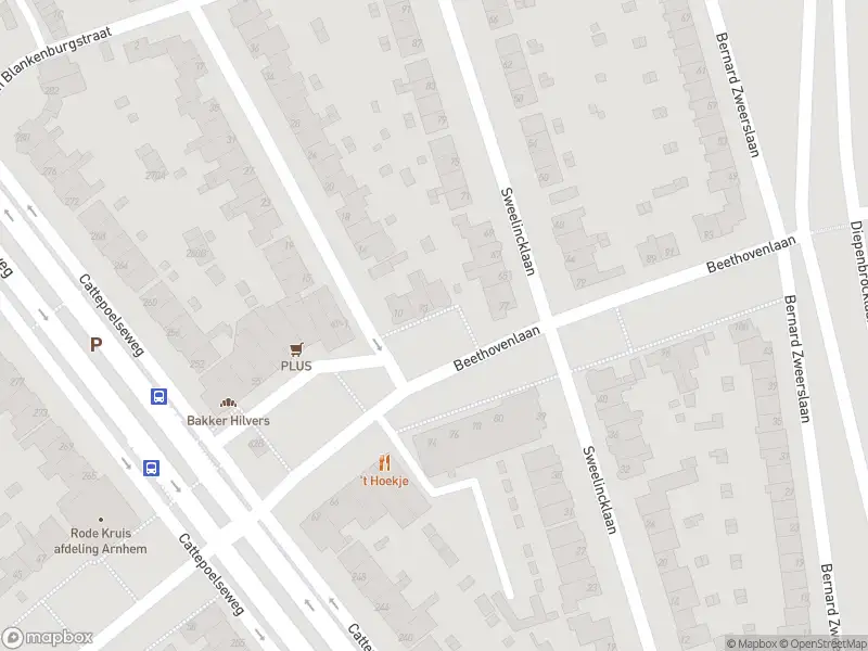 112 melding Overlastmelding Beethovenlaan in Arnhem