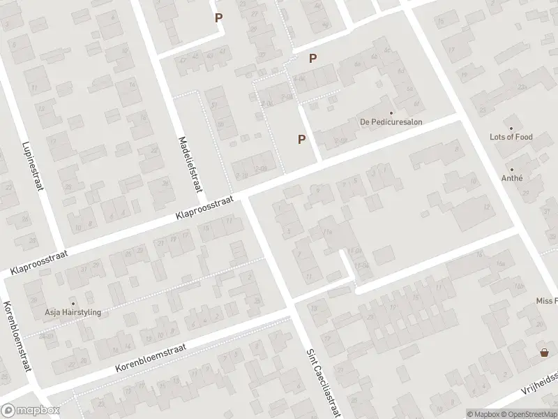 112 melding Overlastmelding Sint Caeciliastraat in Berkel-Enschot gesloten