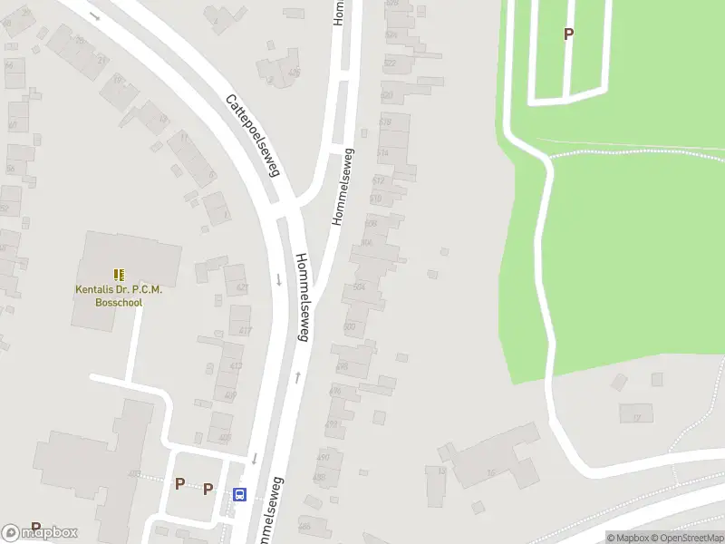 Overlastmelding Hommelseweg in Arnhem