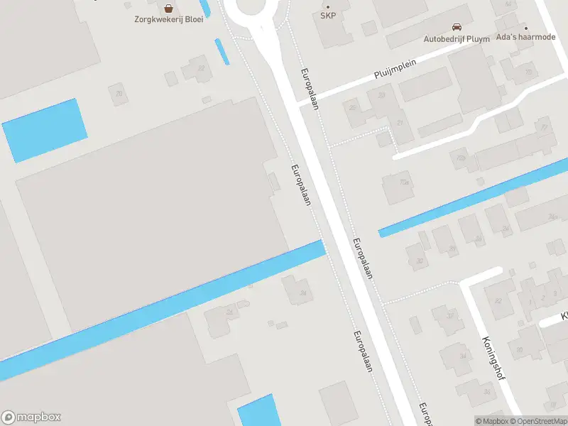 Ambulance met gepaste spoed naar de Europalaan in Pijnacker