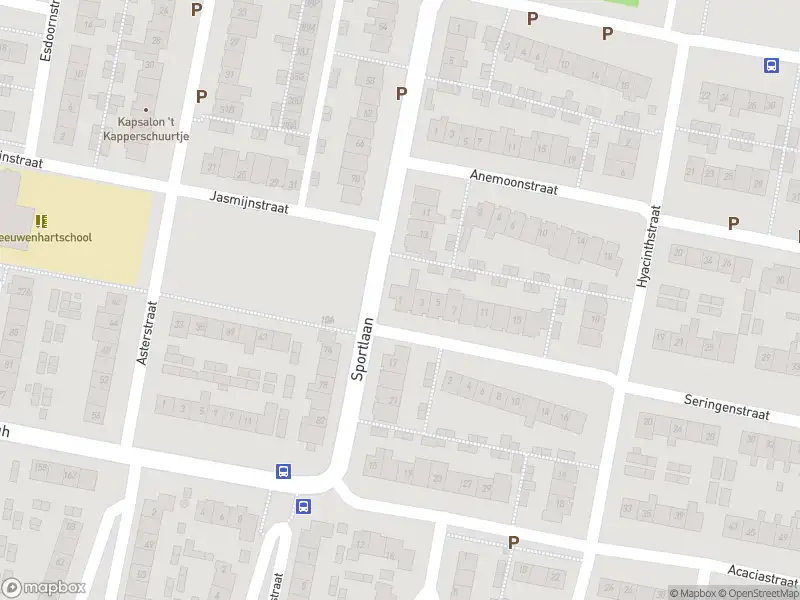 Ambulance met gepaste spoed naar de Seringenstraat in Oud-Beijerland