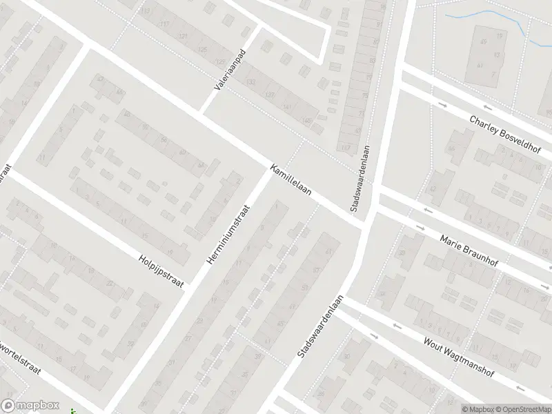Overlastmelding Herminiumstraat in Arnhem