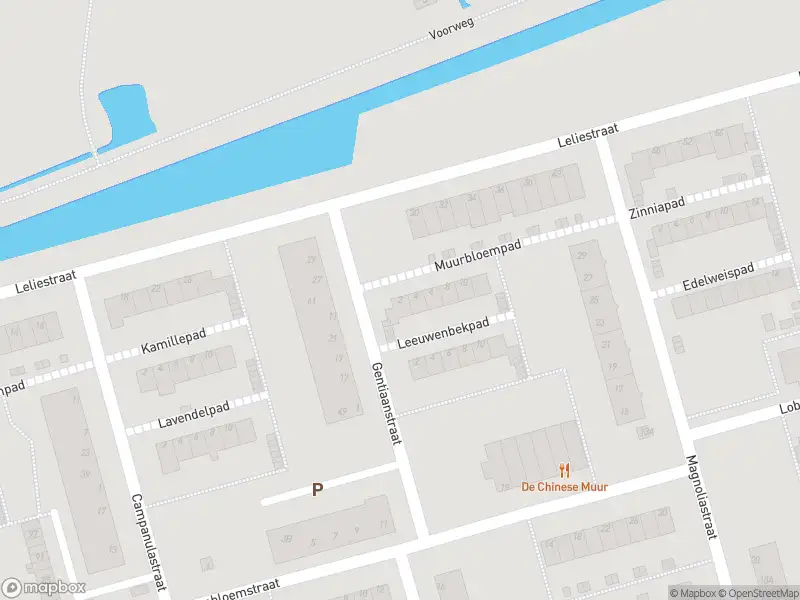 Ambulance met gepaste spoed naar de Muurbloempad in Spijkenisse