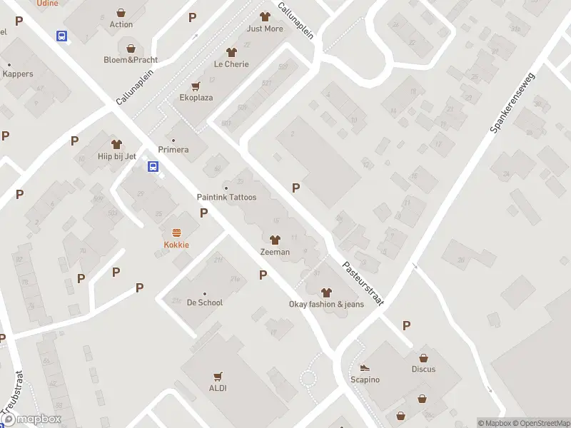 Overlastmelding Pasteurstraat in Dieren gesloten