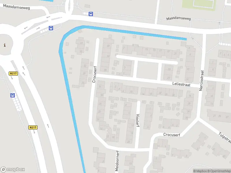 Overlastmelding Leliestraat in 's-Gravendeel