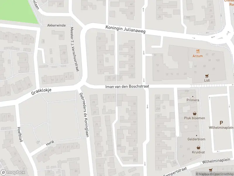 Overlastmelding Iman van Den Boschstraat in Best