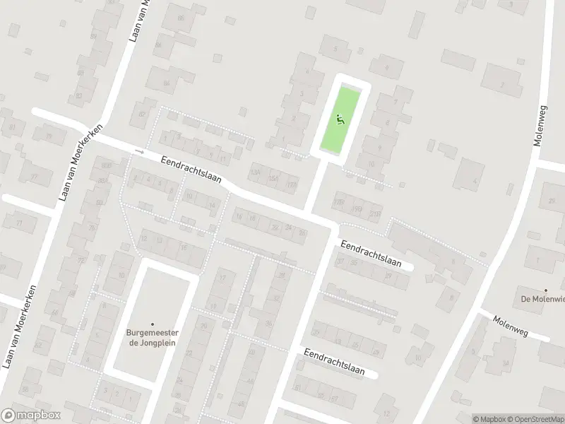 Overlastmelding Eendrachtslaan in Mijnsheerenland gesloten