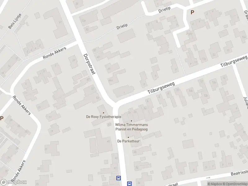 Overlastmelding Tilburgseweg in Riel