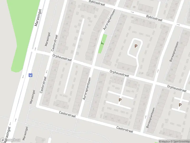 Overlastmelding Auroraplantsoen in Arnhem