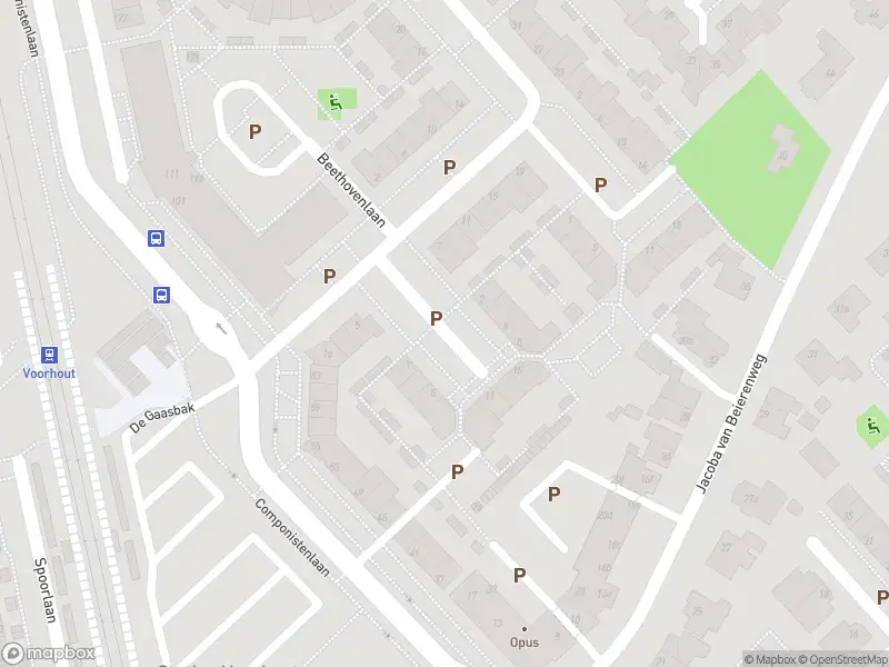 Overlastmelding Brahmsstraat in Voorhout